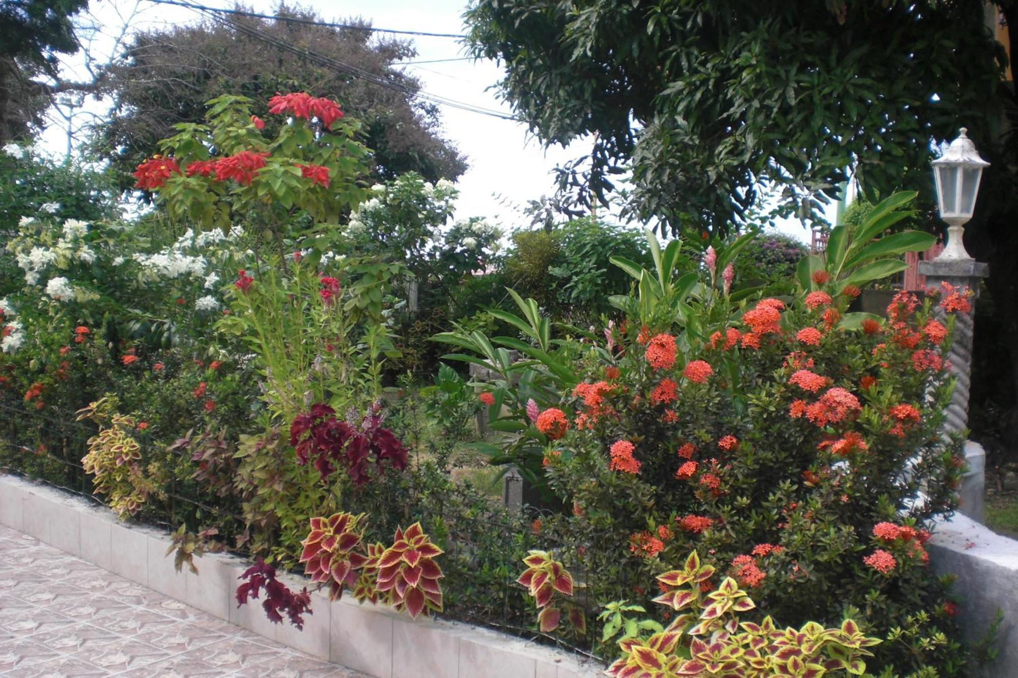 Residence Madelia Port-Louis Extérieur photo